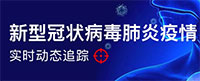 全国新肺炎疫情实时动态监控