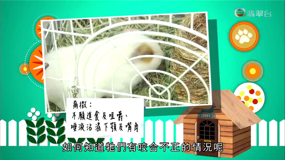 1577932300774980.jpg Screenshot_2020-01-02-10-30-47-664_com.cz.babySis.jpg