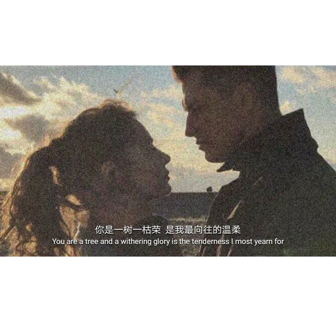 1581512065853317.png Screenshot_2019_1028_100915.png