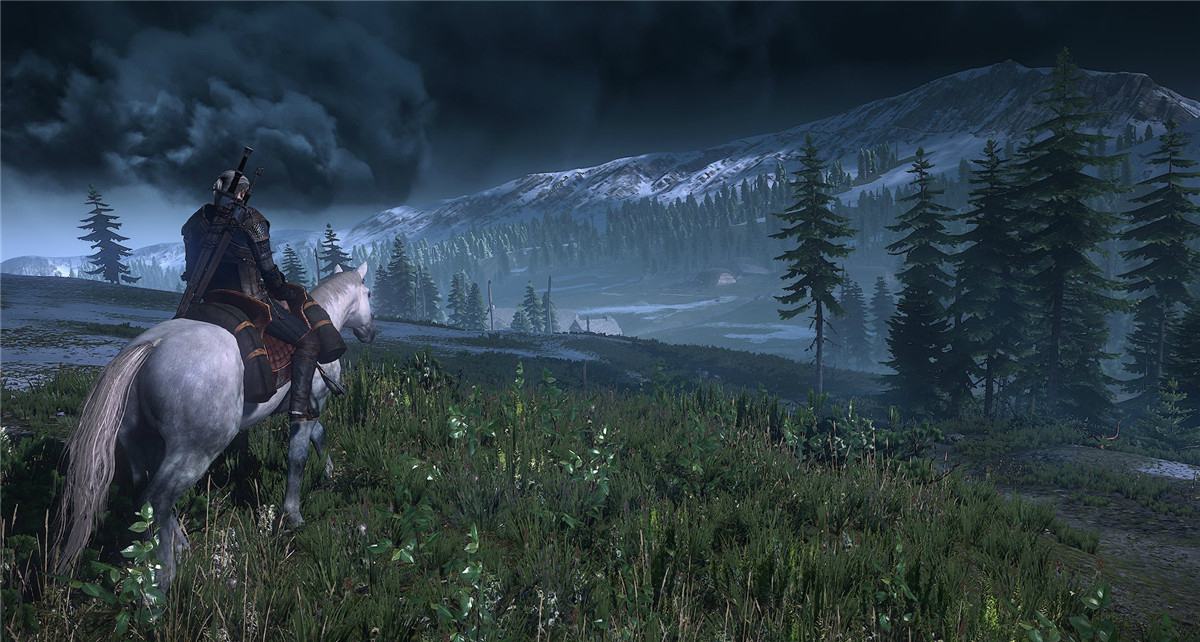 1586855101729012.jpg 7.jpg