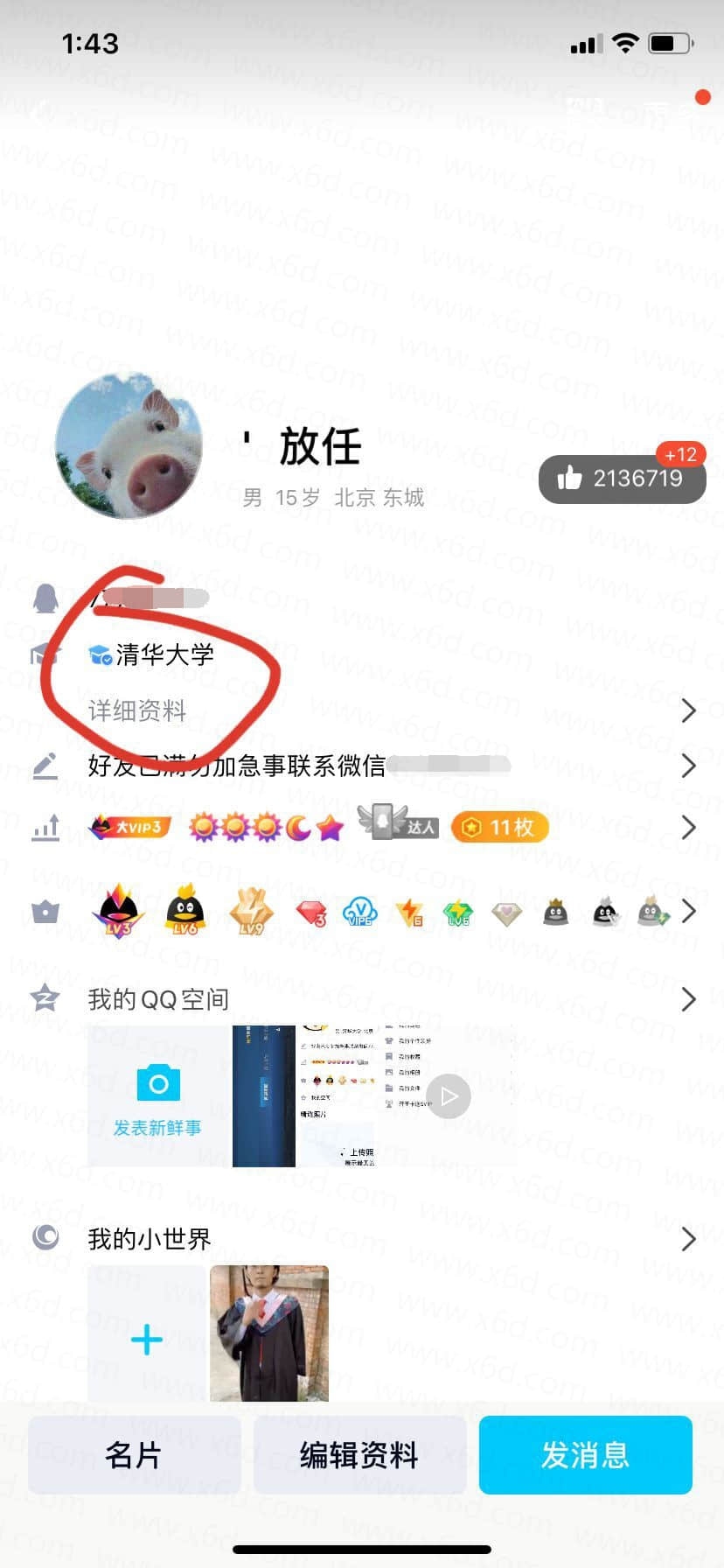 1591025378744573.jpg 4.jpg