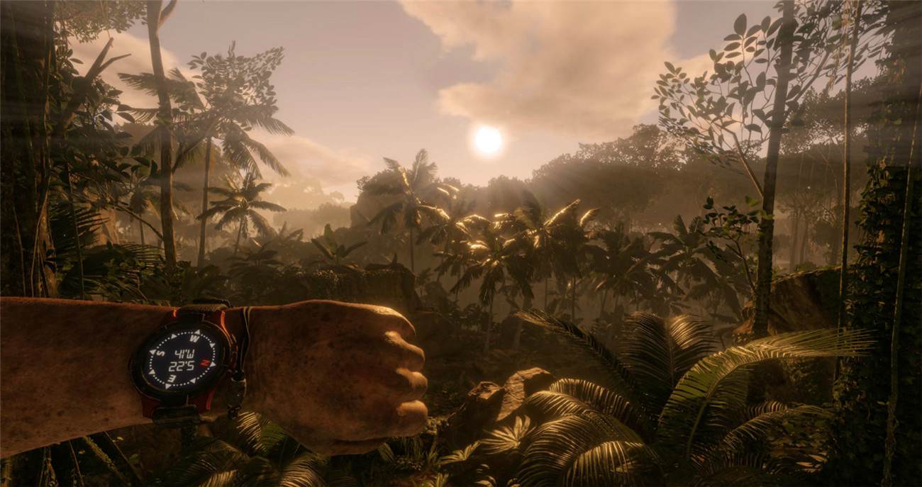 1596526906177842.jpg 3.jpg