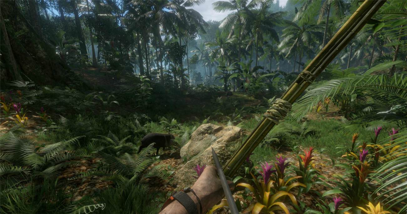 1596526909765805.jpg 4.jpg