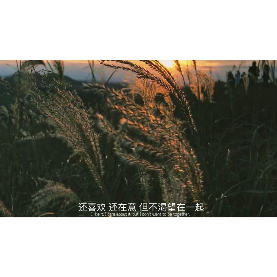 1600689600968695.png QQ图片20200921195950.png