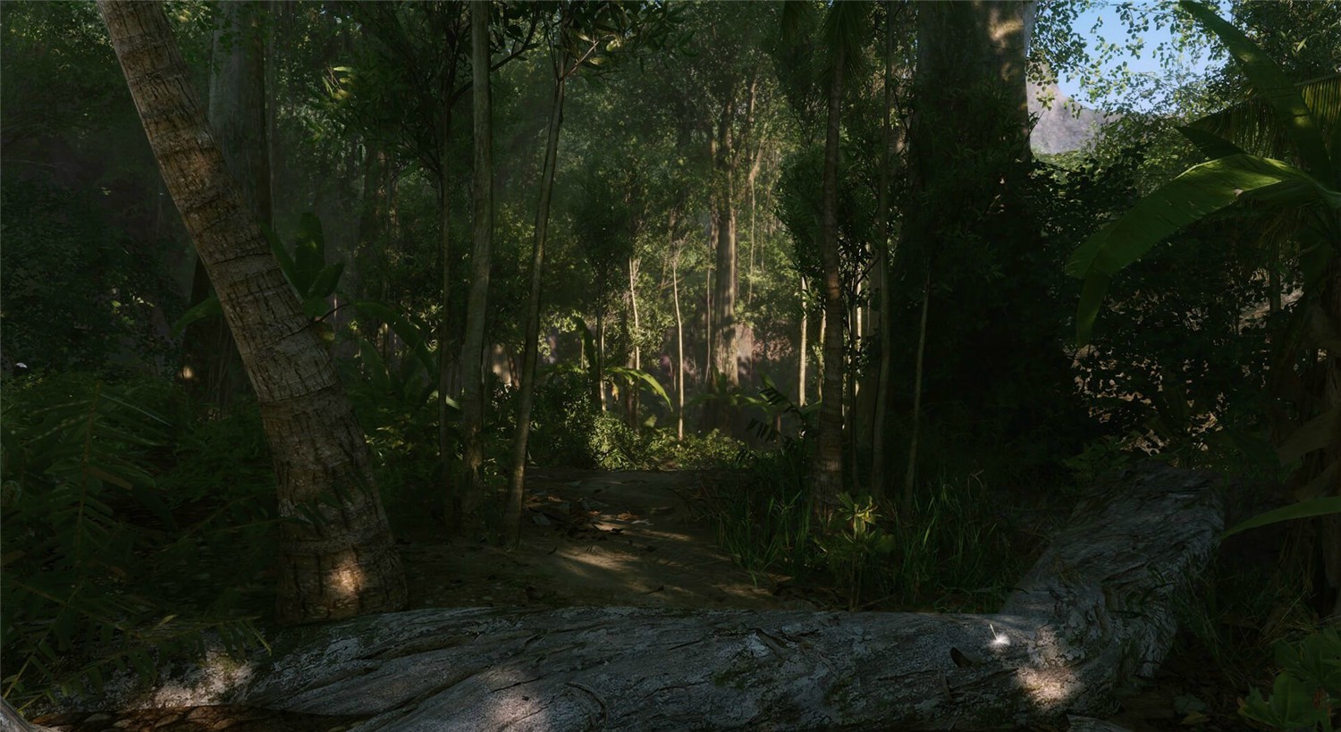 1603505064962508.jpg 2.jpg