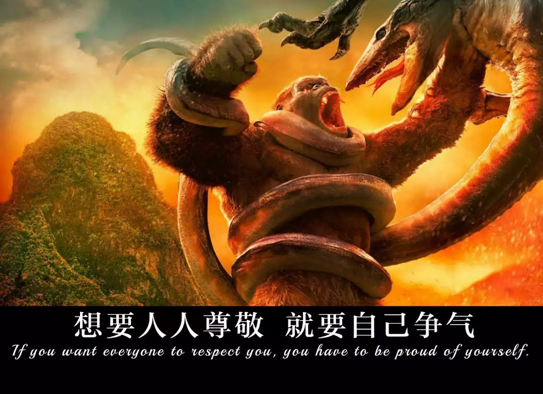 1603630248343578.png Screenshot_2018_1128_113635.png