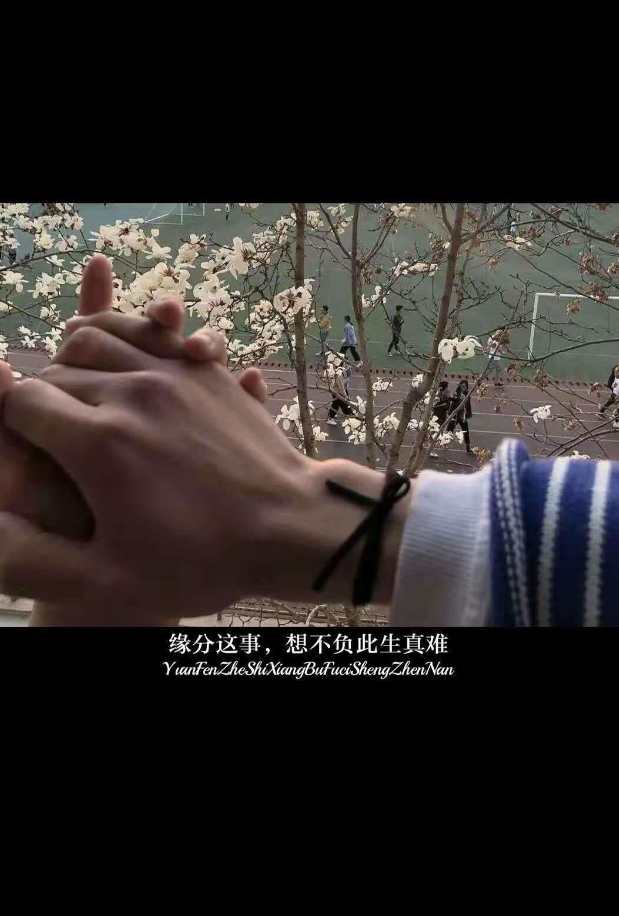 1606048211136497.png QQ图片20201122203013.png