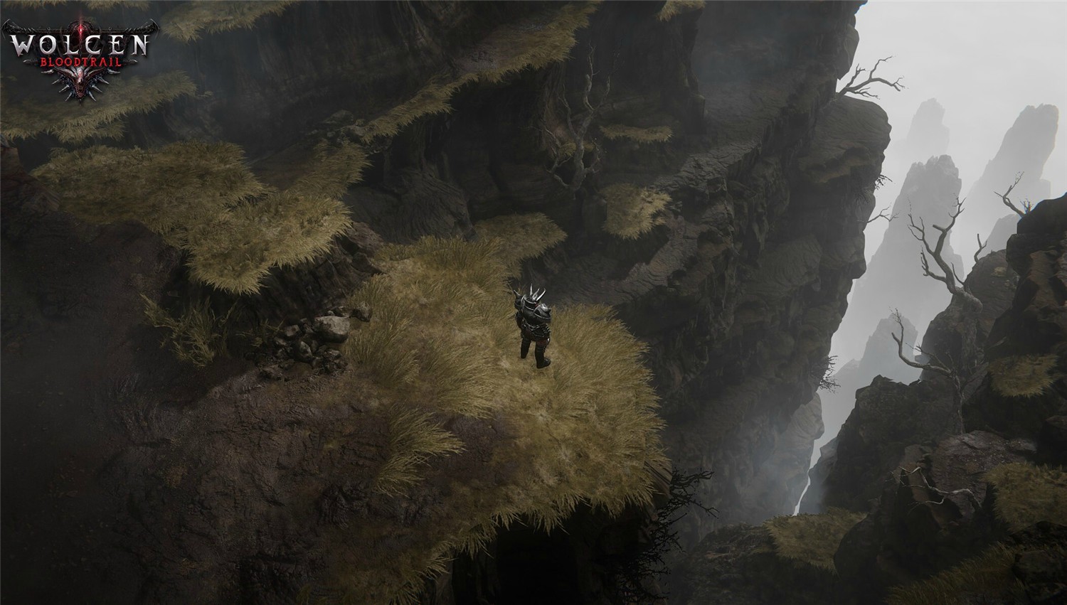 1607335105961735.jpg 3.jpg