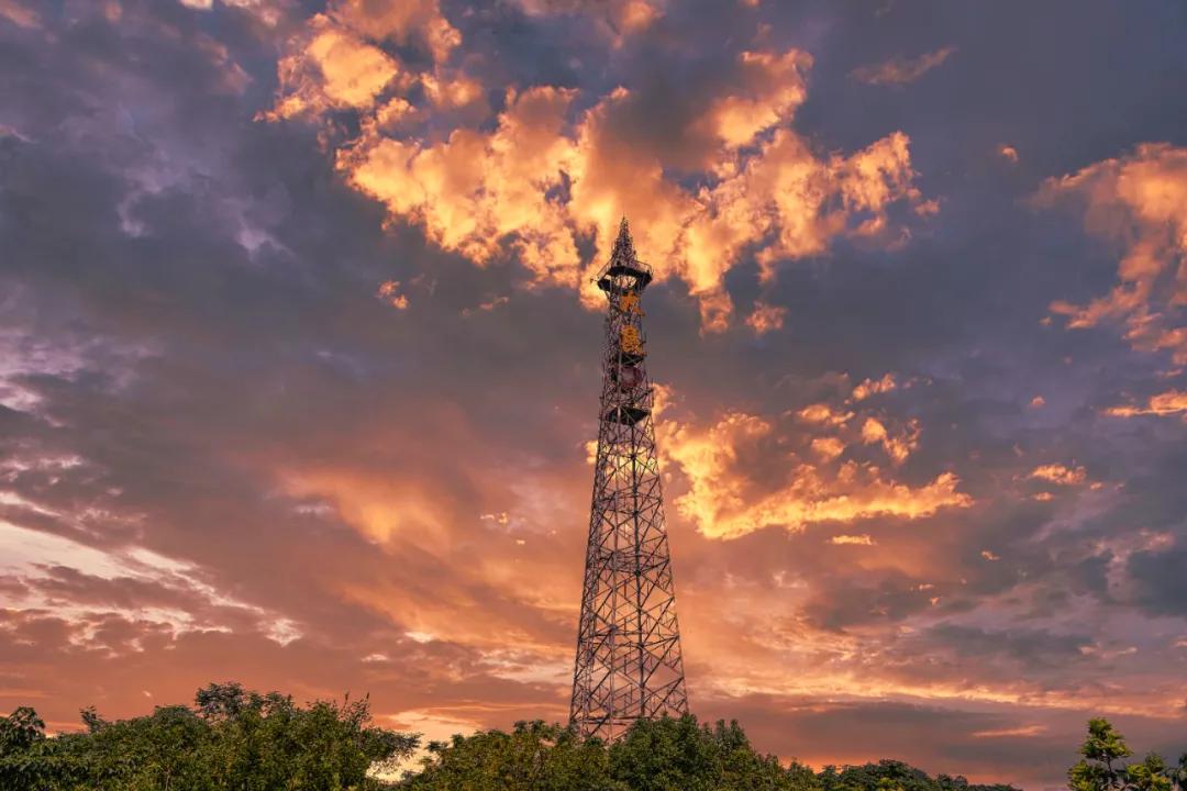 1611973008464030.jpg 5.jpg