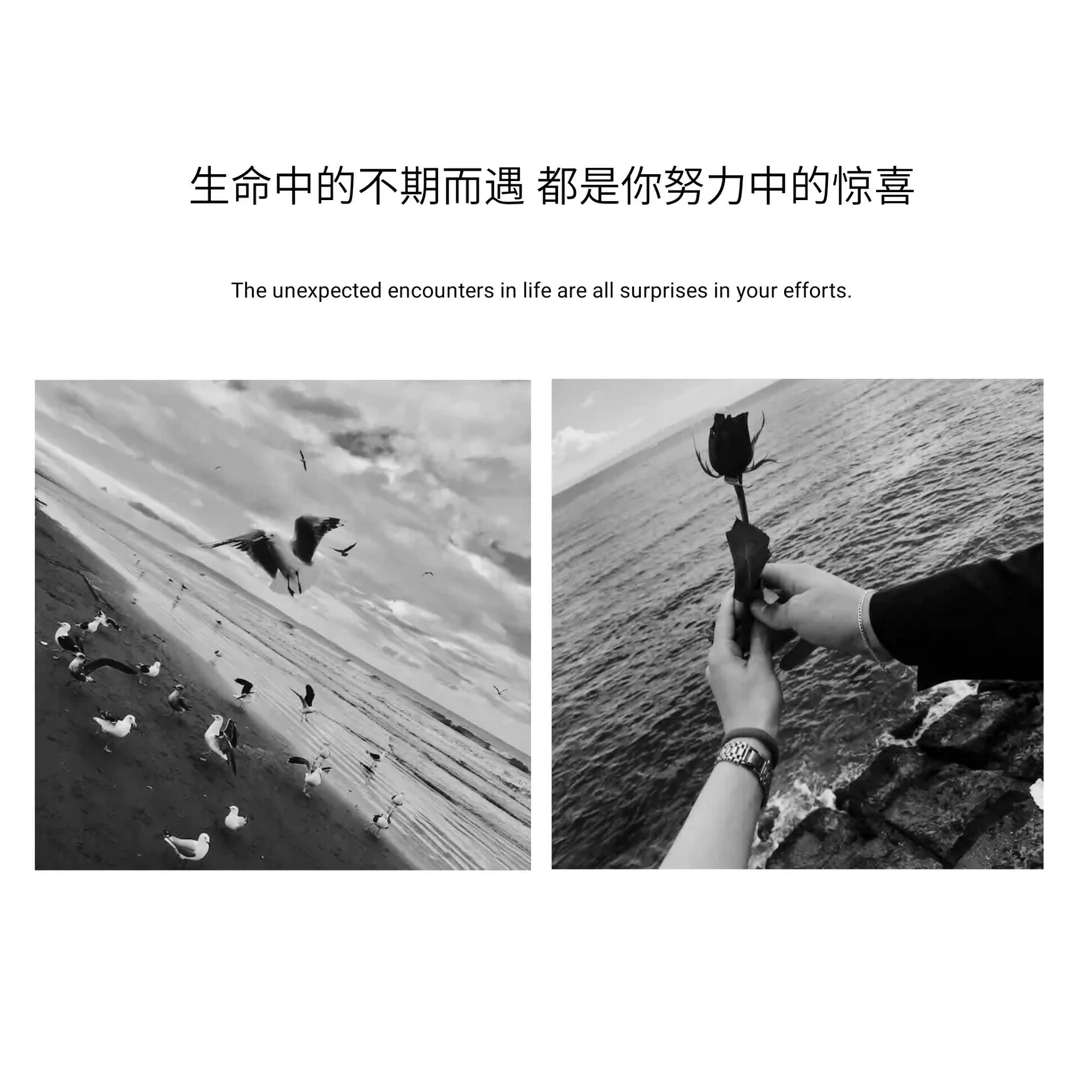 1615549561516325.png Screenshot_2019_0725_073233.png