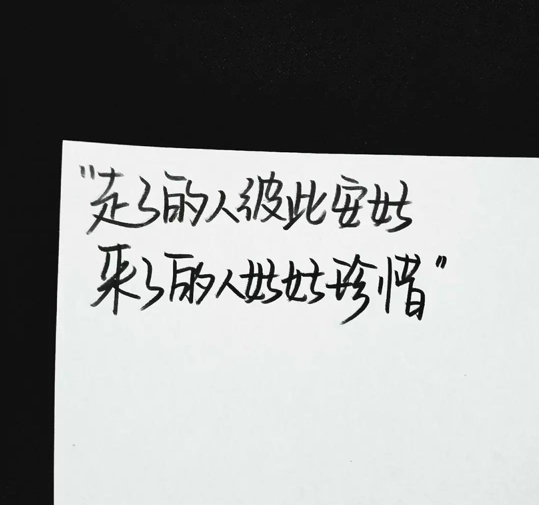 1636978595875437.png 54c90fa2b384438c96b9effae06b5dc8.png