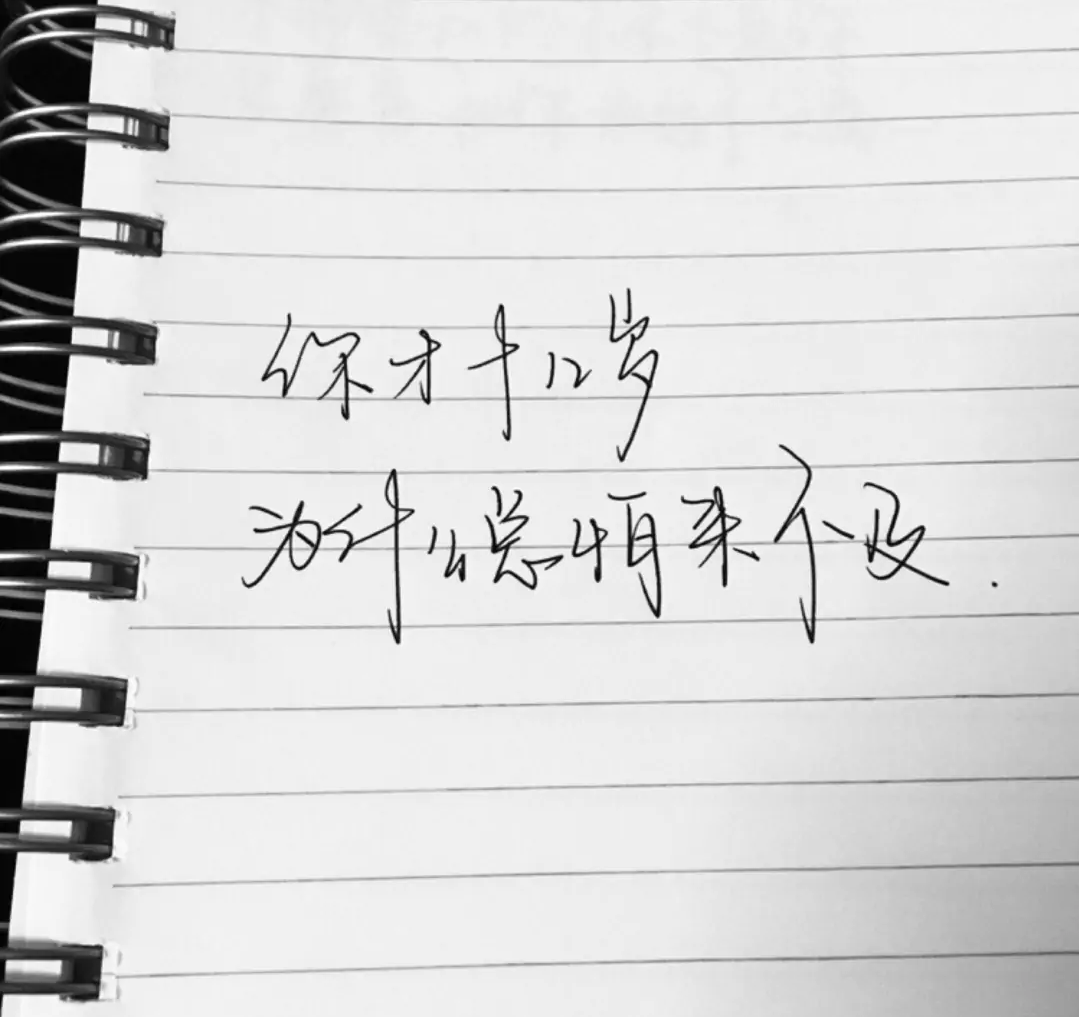 1638187242331696.png e9e7947481004757ad370f68638c3221.png